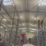 Aménagement intérieur des entrepôts de Transcenic